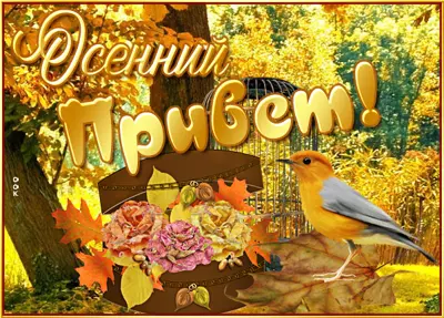 Picture хорошая открытка осенний привет