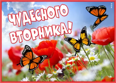 Picture яркая картинка чудесного вторника