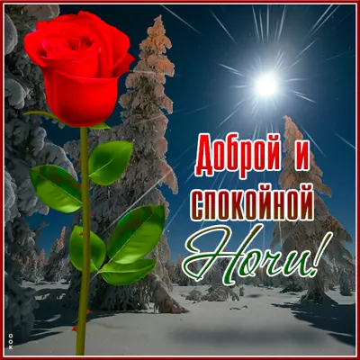 Postcard яркая картинка  доброй и спокойной ночи