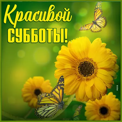 Picture яркая картинка красивой субботы