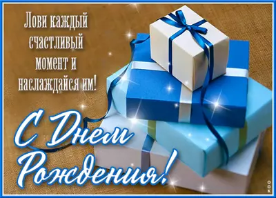 Picture яркая картинка лови каждый счастливый момент
