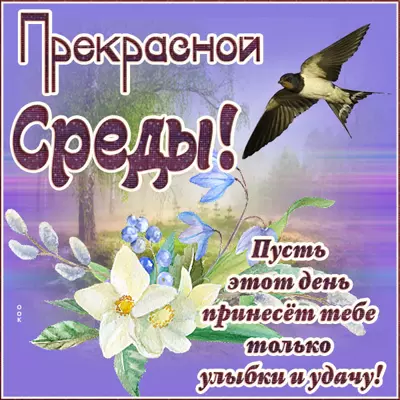 Picture яркая картинка прекрасной среды