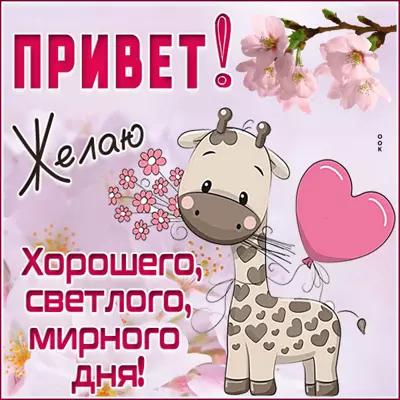 Picture яркая картинка привет