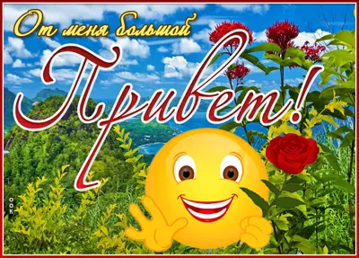 Postcard яркая картинка то меня большой привет