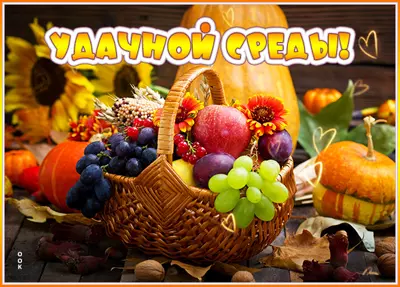Postcard яркая картинка удачной среды
