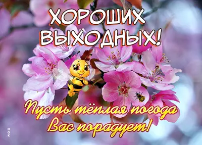 Picture яркая картинка хороших выходных