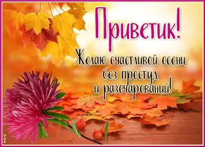 Picture яркая картинка желаю счастливой осени