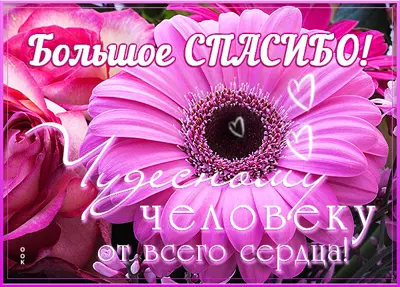 Picture яркая открытка большое спасибо