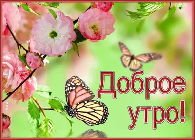 Picture яркая открытка доброе утро