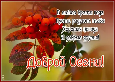 Postcard яркая открытка доброй осени