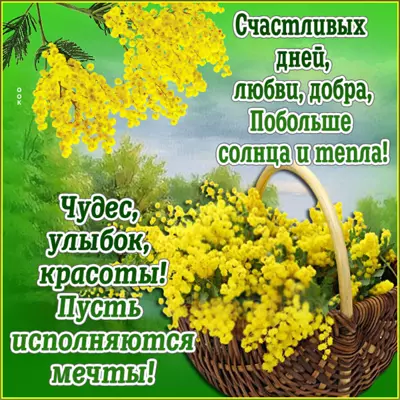 Postcard яркая открытка побольше солнца и тепла