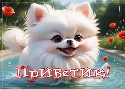 Postcard яркая открытка приветик