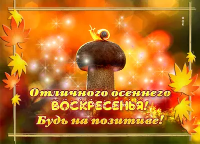 Picture яркая открытка с воскресеньем