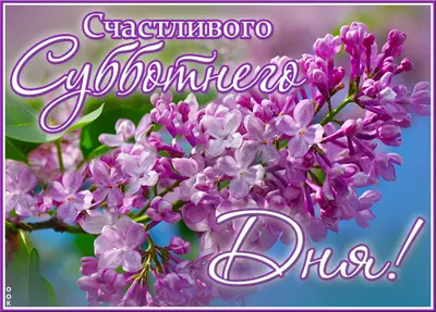 Postcard яркая открытка счастливого субботнего дня