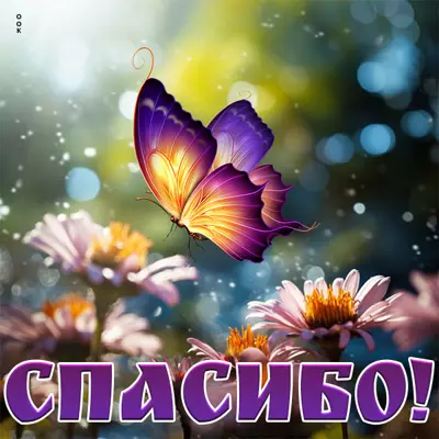 Picture яркая открытка спасибо