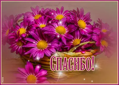 Postcard яркая открытка спасибоо