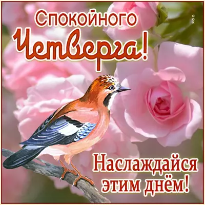 Picture яркая открытка спокойного четверга