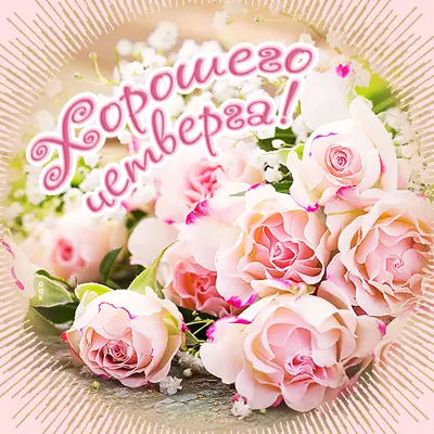 Postcard яркая открытка хорошего четверга