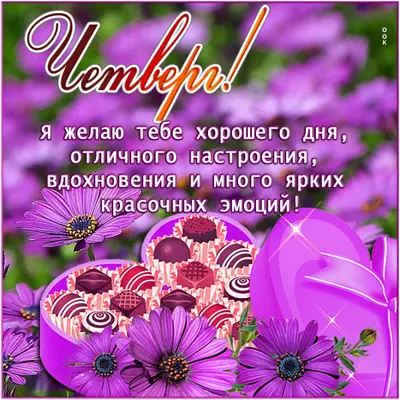 Picture яркая открытка я желаю тебе хорошего дня