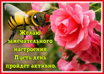 Postcard яркая открытка замечательного настроения