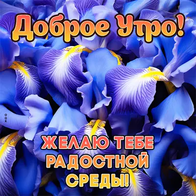 Postcard яркая открытка желаю тебе радостной среды