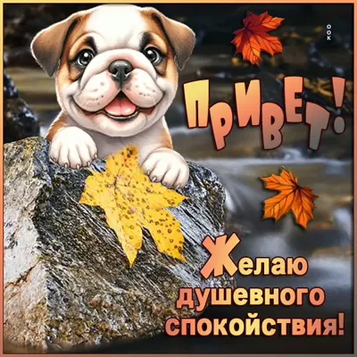 Postcard заботливая открытка желаю душевного спокойствия