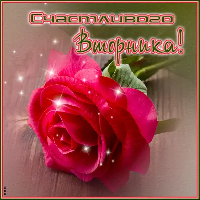 Picture замечательная картинка счастливого вторника