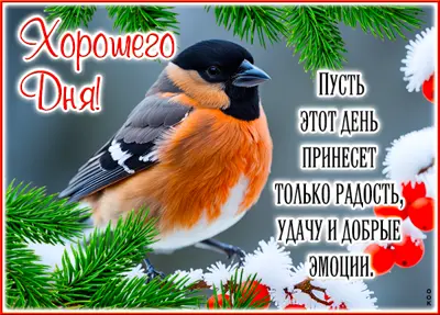 Postcard завораживающая картинка хорошего дня