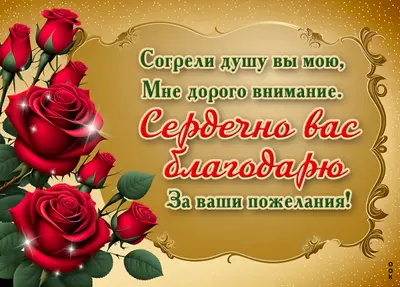 Postcard жизнелюбивая картинка сердечно вас благодарю