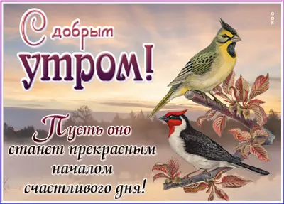 Postcard жизнерадостная открытка с добрым утром