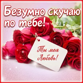 Открытка потрясающая картинка скучаю