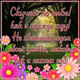 Картинка удивительная  картинка скучаю с текстом
