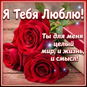 Открытка очаровательная картинка я тебя люблю