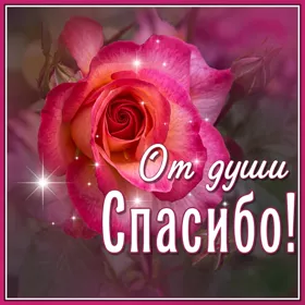 Картинка прекрасная открытка спасибо