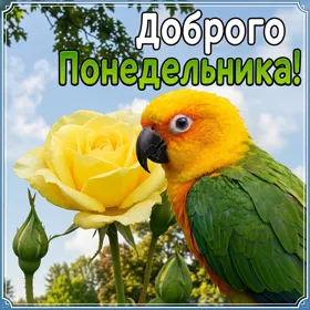 Картинка замечательная открытка с понедельником