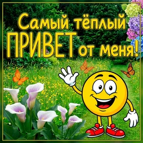 Открытка открытка привет чудесному человеку