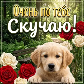 Картинка открытка безумно скучаю