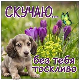 Открытка очень нежная открытка скучаю
