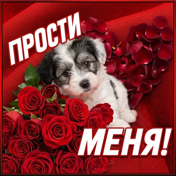 Открытка открытка прости, мне плохо без тебя
