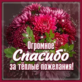 Открытка картинка большое спасибо с цветами