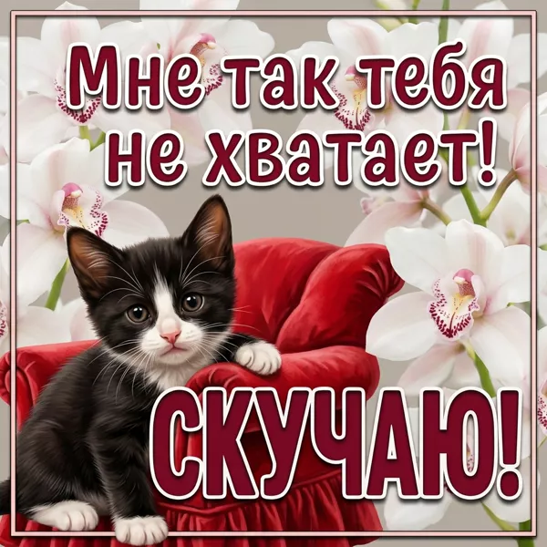 Открытка удачная картинка скучаю