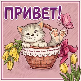 Открытка открытка привет как дела