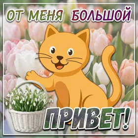 Картинка открытка привет