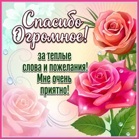 Открытка картинка спасибо с розовыми розами