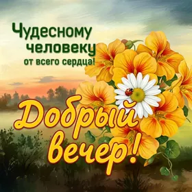 Postcard открытка доброго, романтичного вечера