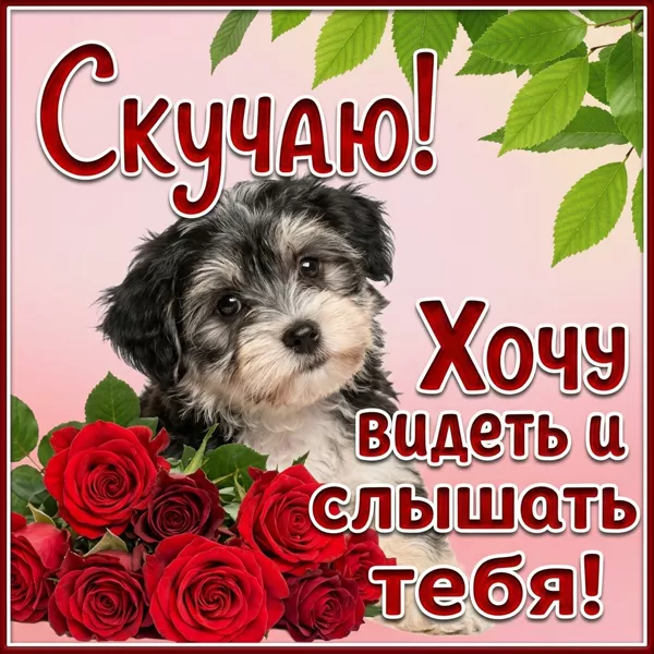 Открытка прелестная открытка скучаю
