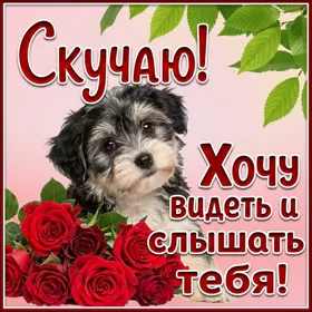 Открытка прелестная открытка скучаю
