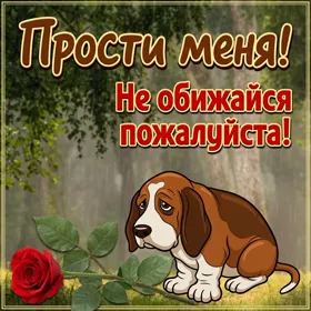 Открытка оригинальная открытка прости