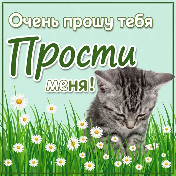 Картинка искренняя открытка прости