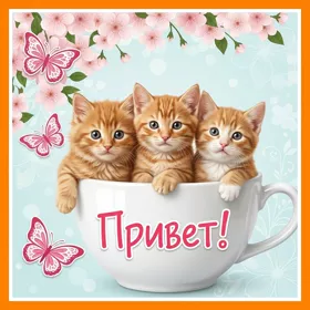 Картинка трогательная картинка привет